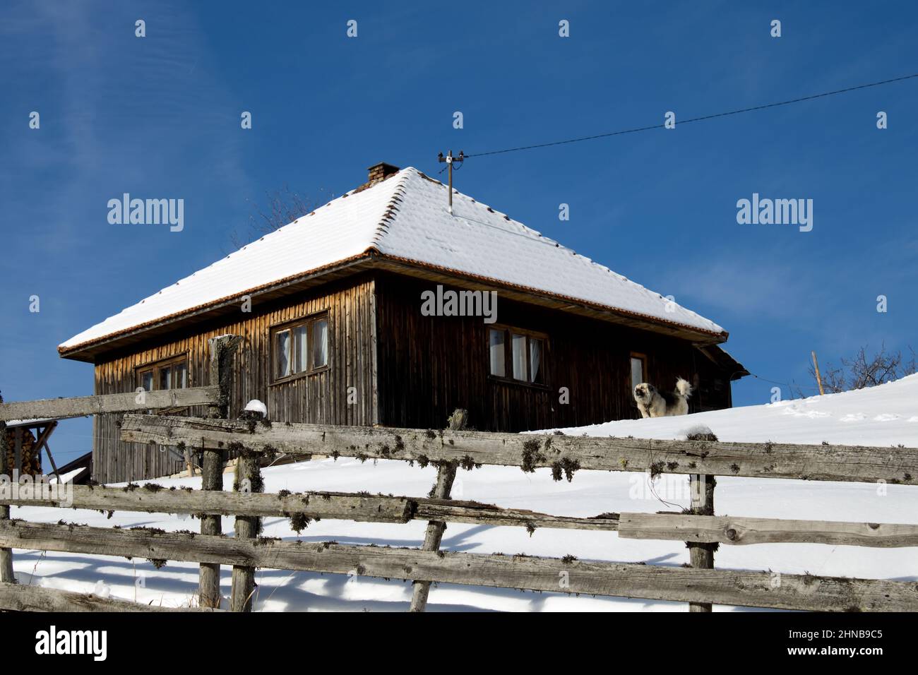 Wooden house in a snowy forest Stock Photo - Alamy