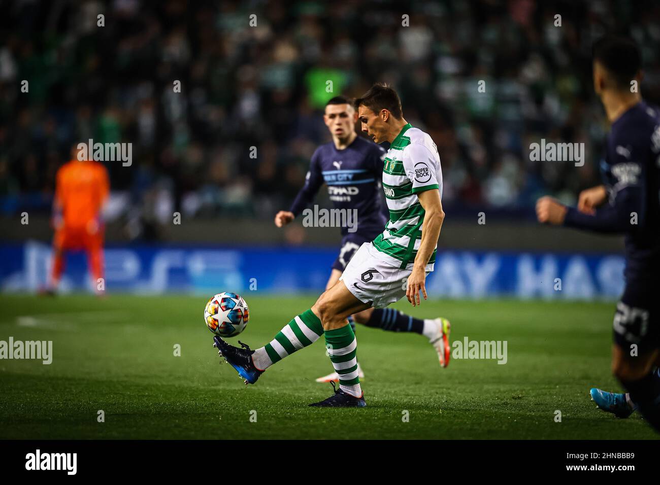 Lisbon, Portugal. 15th Feb, 2022. Lisbon, Portugal, Feb 15th 2022 JOÃO PALHINHA OF SPORTING during the UEFA Champions League game between Sporting Lisbon and Manchester City at the Estadio Jose Alvalade in Lisbon Portugal Pedro Loureiro/SPP Credit: SPP Sport Press Photo. /Alamy Live News Stock Photo