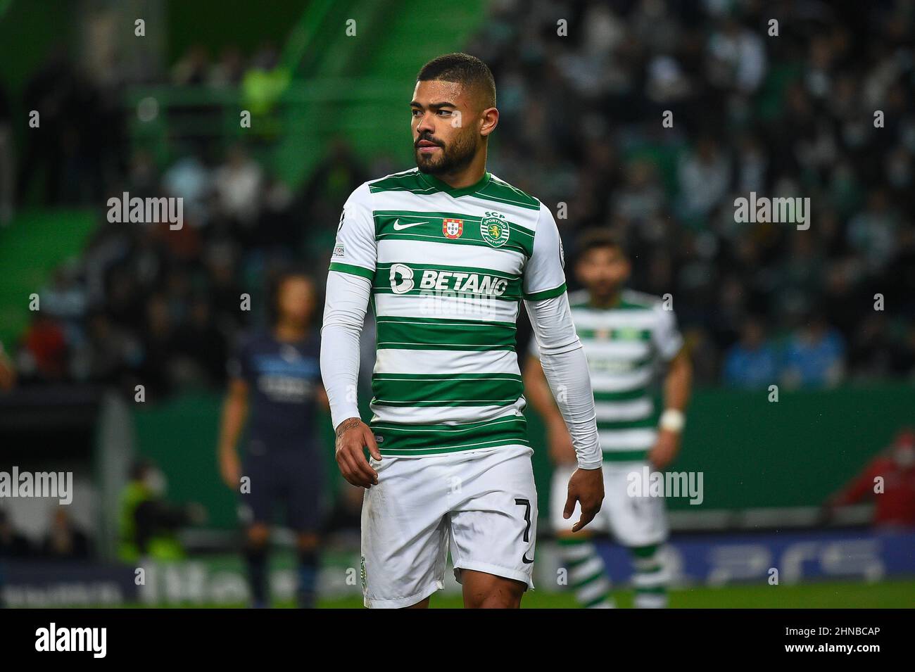 Bruno Tabata High Resolution Stock Photography And Images Alamy