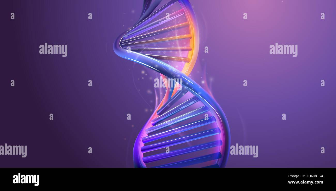 Double helix structure of abstract DNA model Stock Vector Image & Art ...