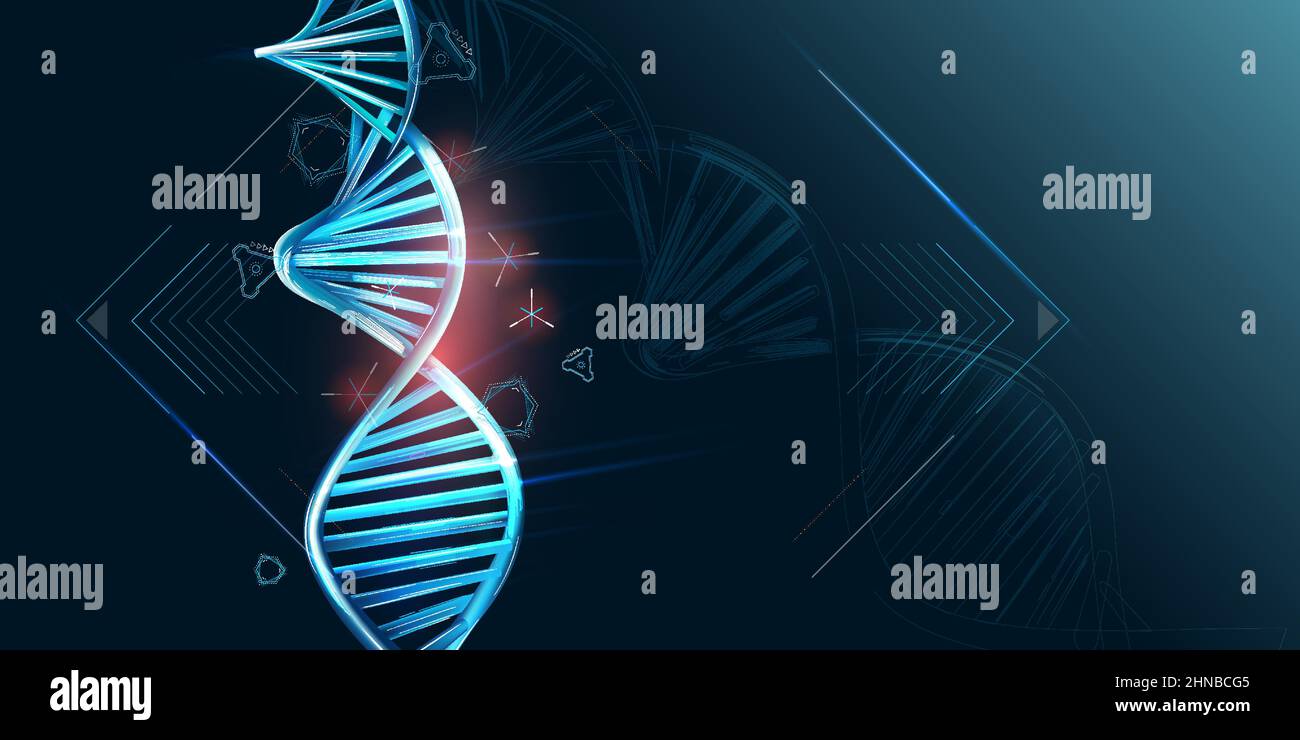 Double helix DNA and HUD elements on dark background Stock Vector Image ...