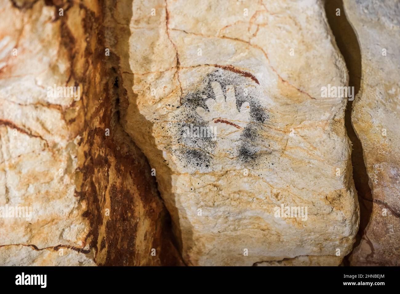 ⚡ Cosquer cave paintings. The Caves of La Grotte Cosquer Reimagined