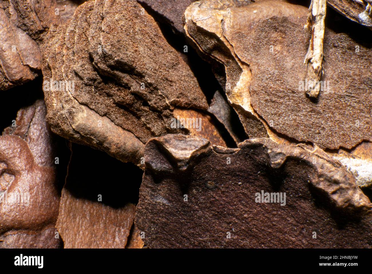 Pine tree bark closeup textures, garden design and materials to cover ground and preserve