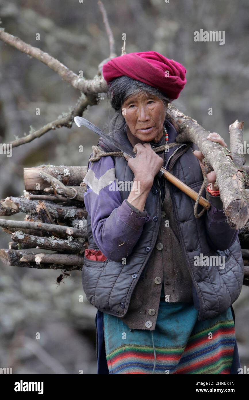 Elderly woman carrying firewood and a billhook near Yubeng village, Meili Snow Mountain, Deqin County, northwest Yunnan, China 28 April 2011 Stock Photo