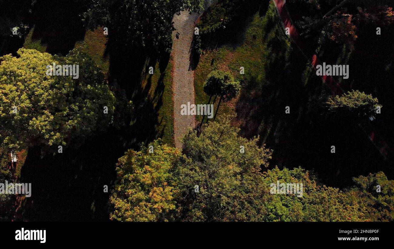 Bird's eye view of the footpath in the summer garden Stock Photo - Alamy
