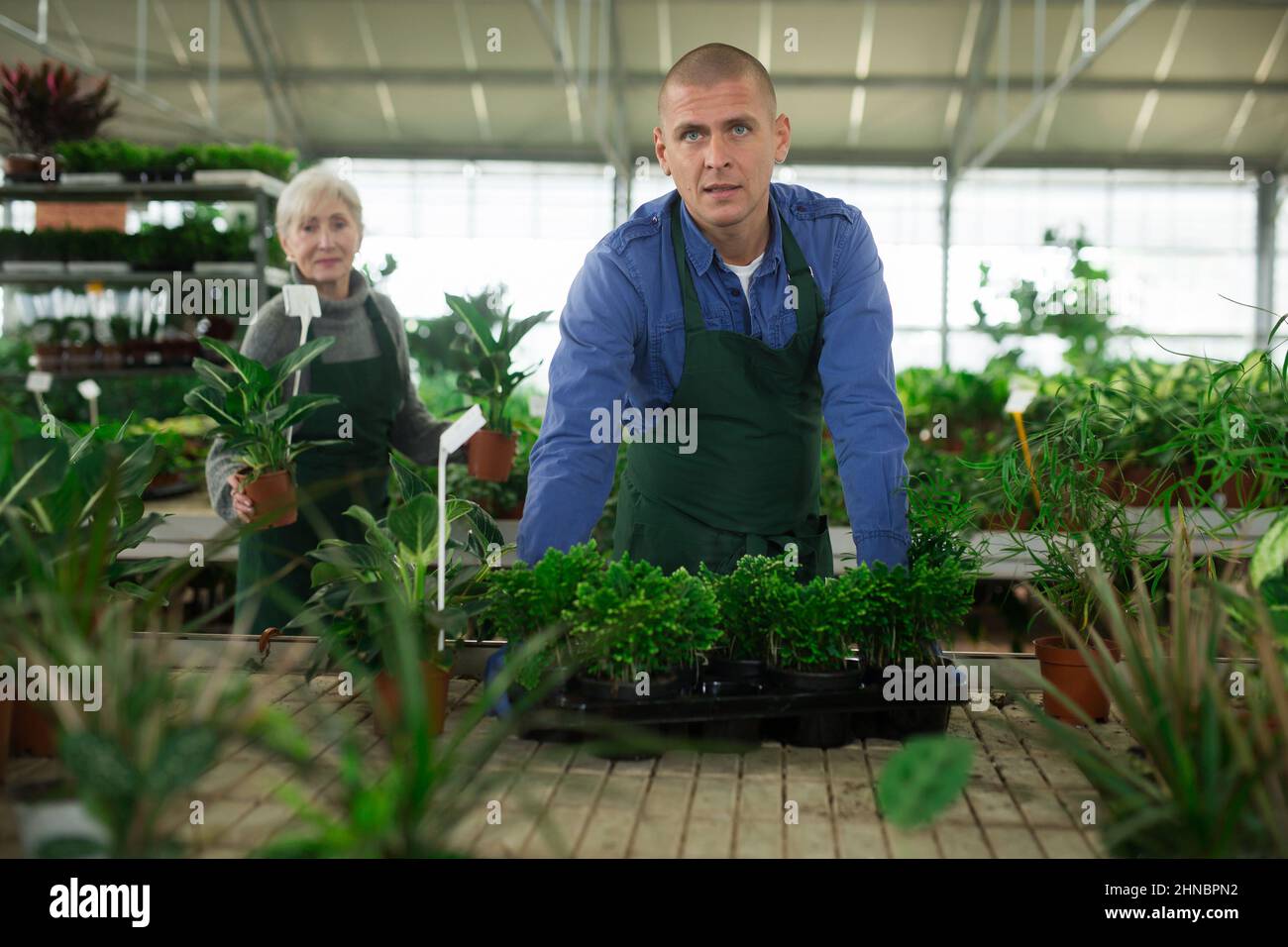 Employee worker uniform older hires stock photography and images Alamy