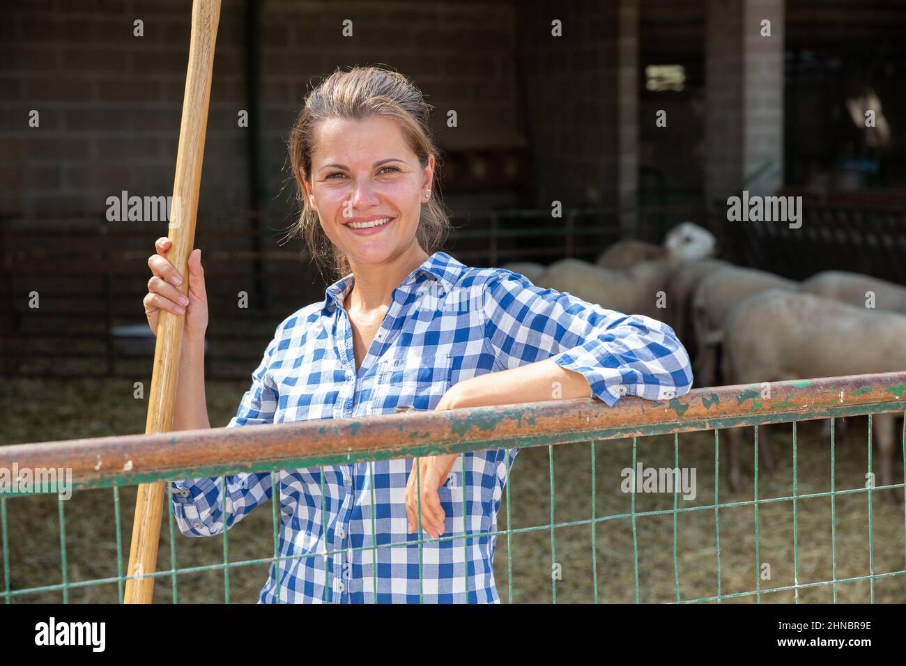 Successful woman farmer in enclosure with sheeps Stock Photo Alamy