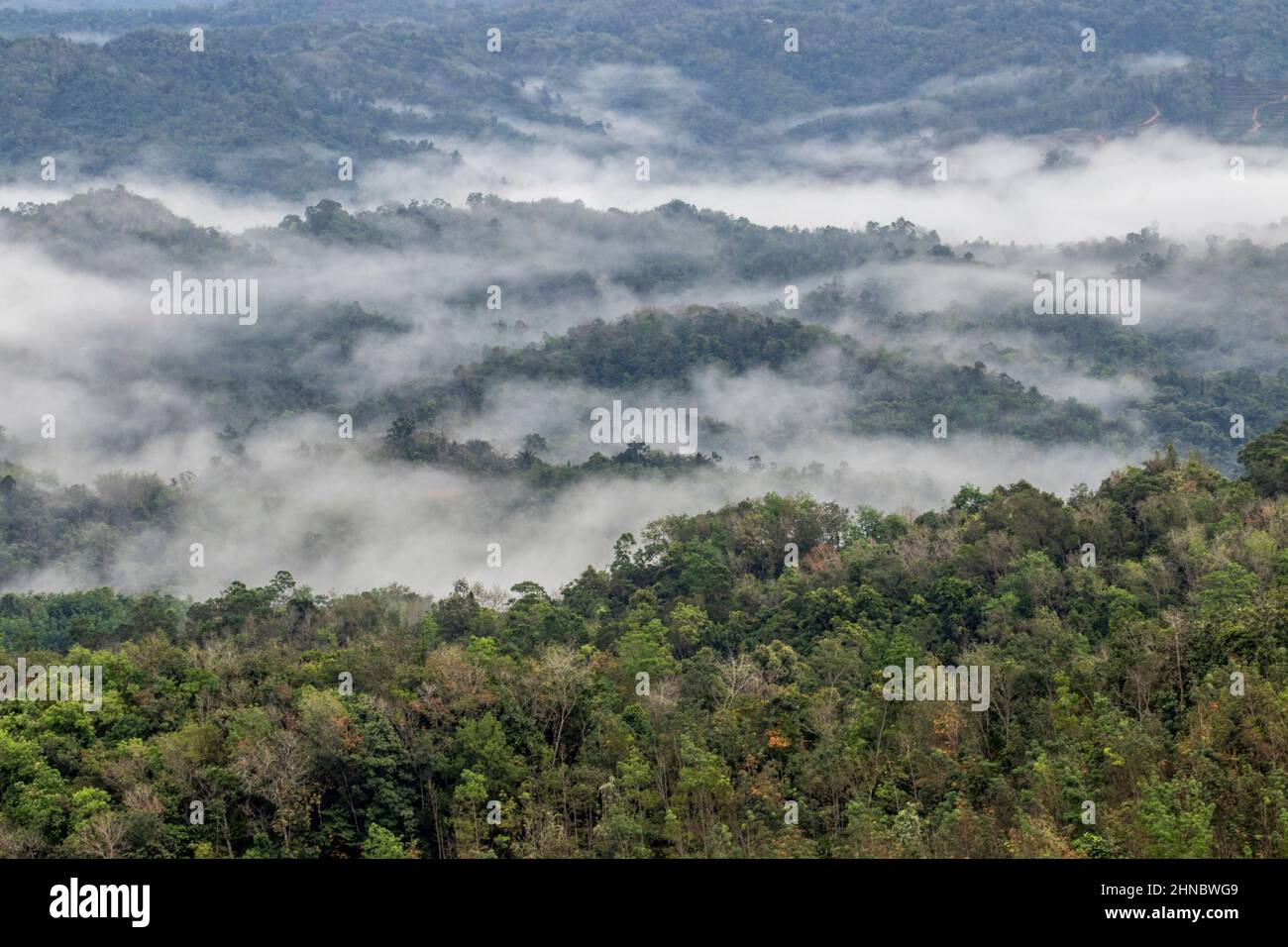 Jalan Ranau Landscape from road 22 Jalan Tamparuli-Ranau, Tamparuli Tuaran Sabah ...
