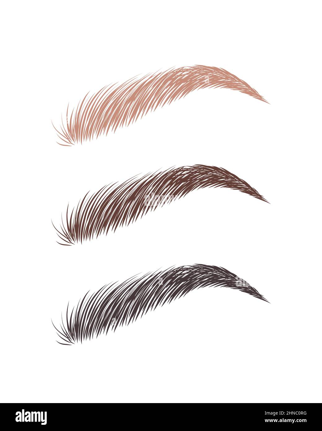Female eyebrows in various colors. Blonde, brown and dark hair. Arch brows shapes. Linear vector Illustration in trendy minimalist style. Brow bar Stock Vector