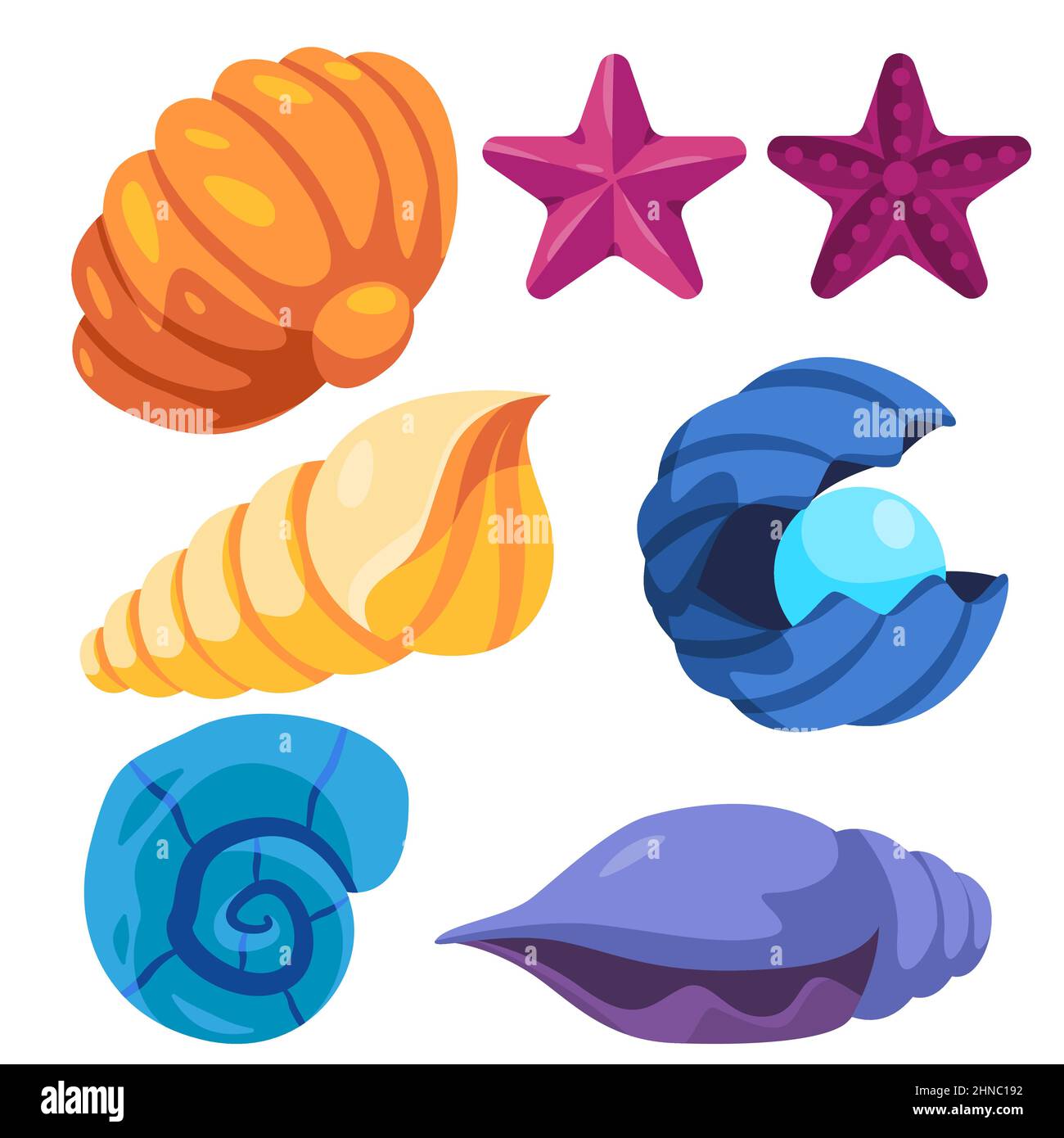 sea shell mollusk clam starfish snail underwater aquatic marine object illustration in colorful nature Stock Vector