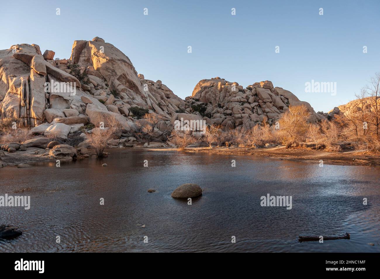Overlooking Barker Dam in Joshua Tree National Park during golden hour