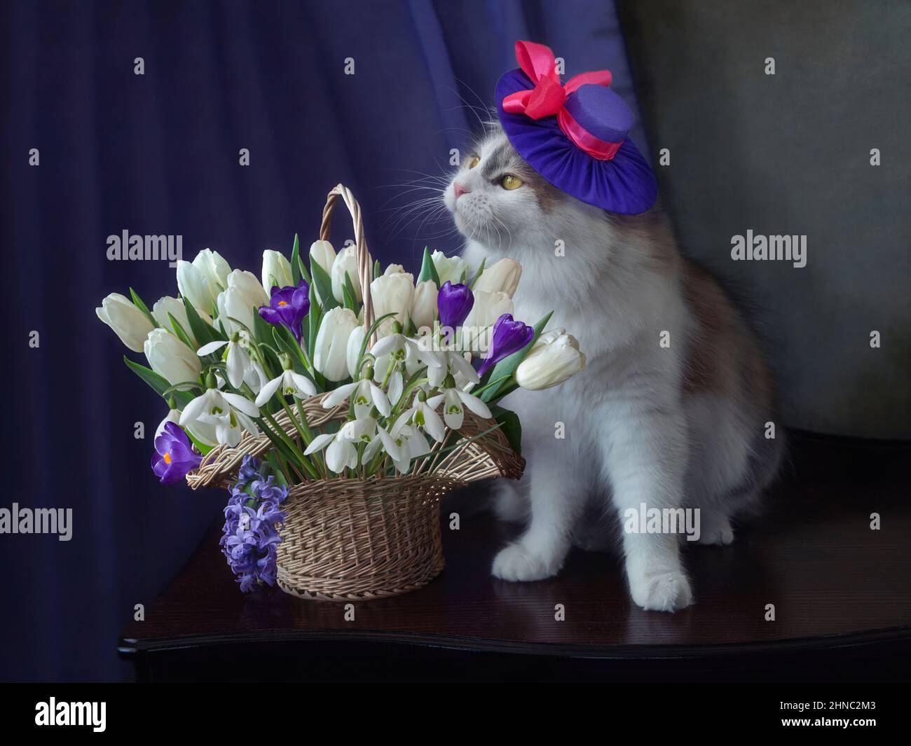 Pretty kitty and basket of spring flowers Stock Photo - Alamy