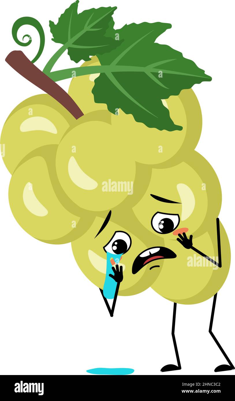 Grape character with crying and tears emotion, sad face, depressive eyes. Person with melancholy expression, berry emoticon. Vector flat illustration Stock Vector