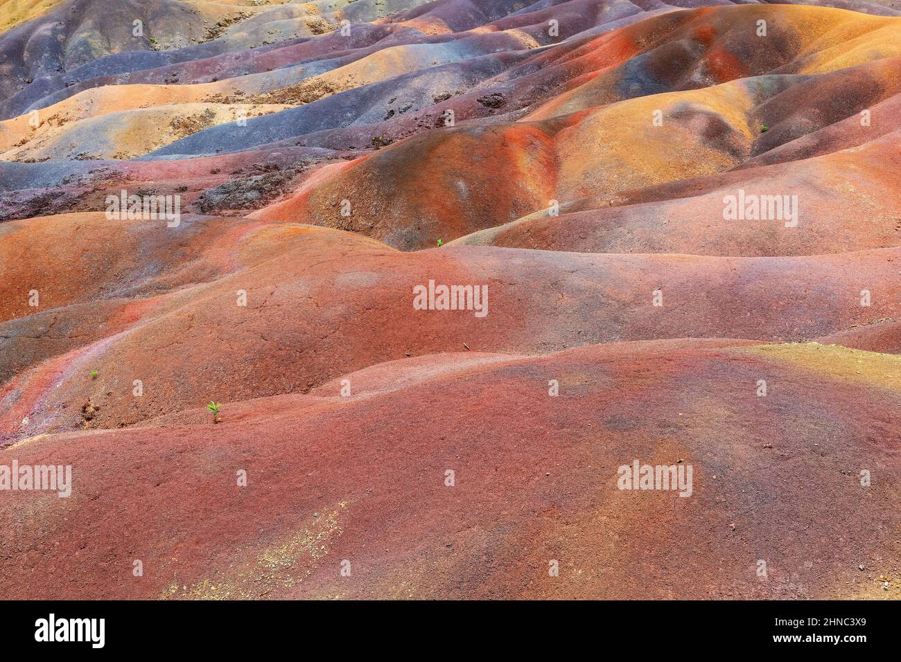 Seven Colored Earth on Chamarel, Mauritius island, Africa Stock Photo