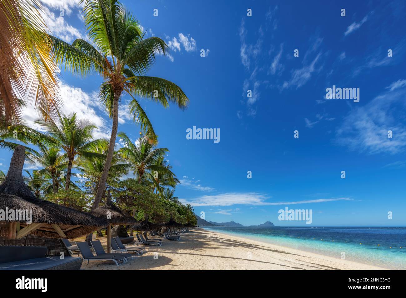 Paradise beach and palm trees in tropical resort Stock Photo