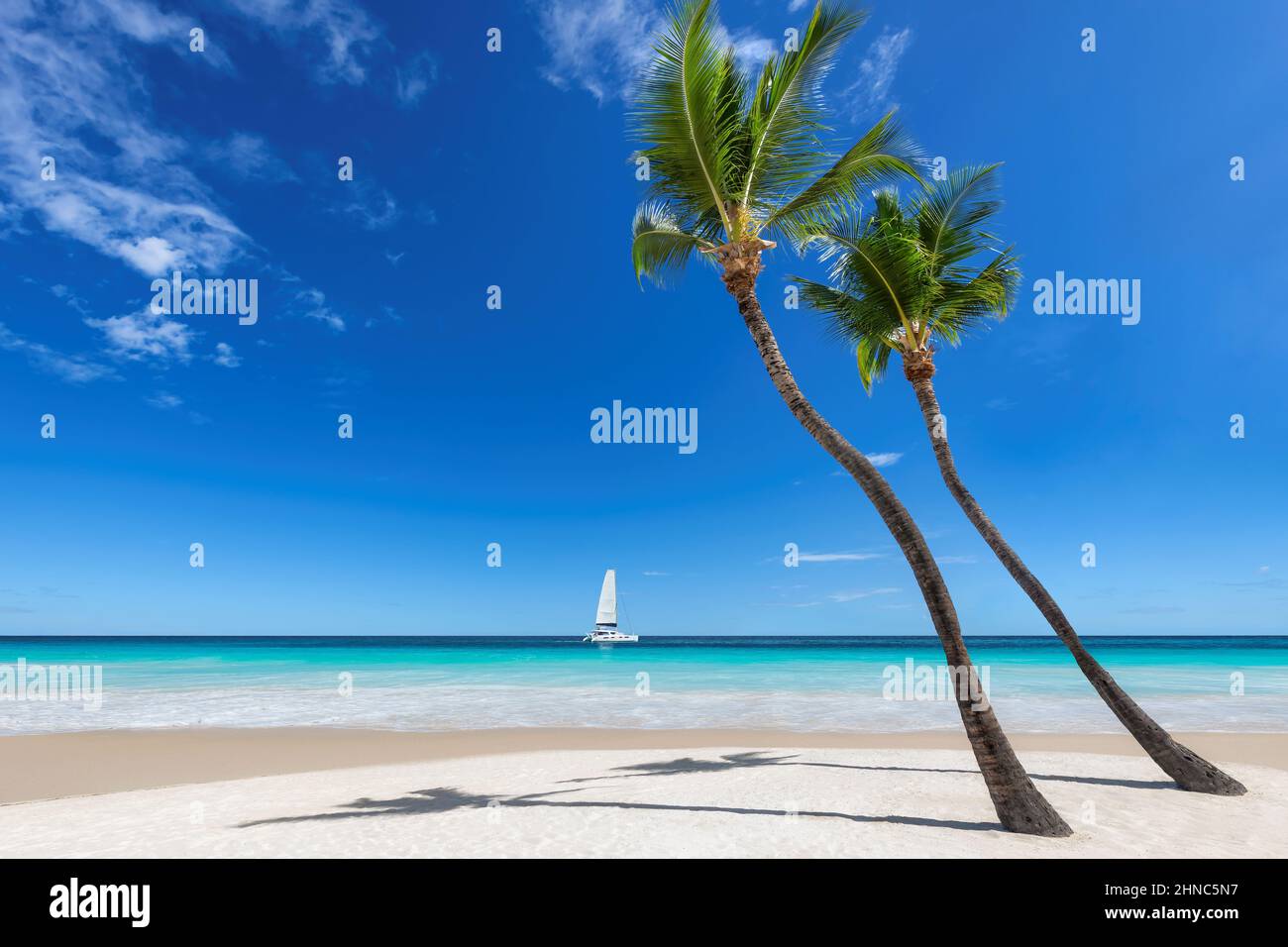 Beach blue sky sea palm trees sunny hi-res stock photography and images ...