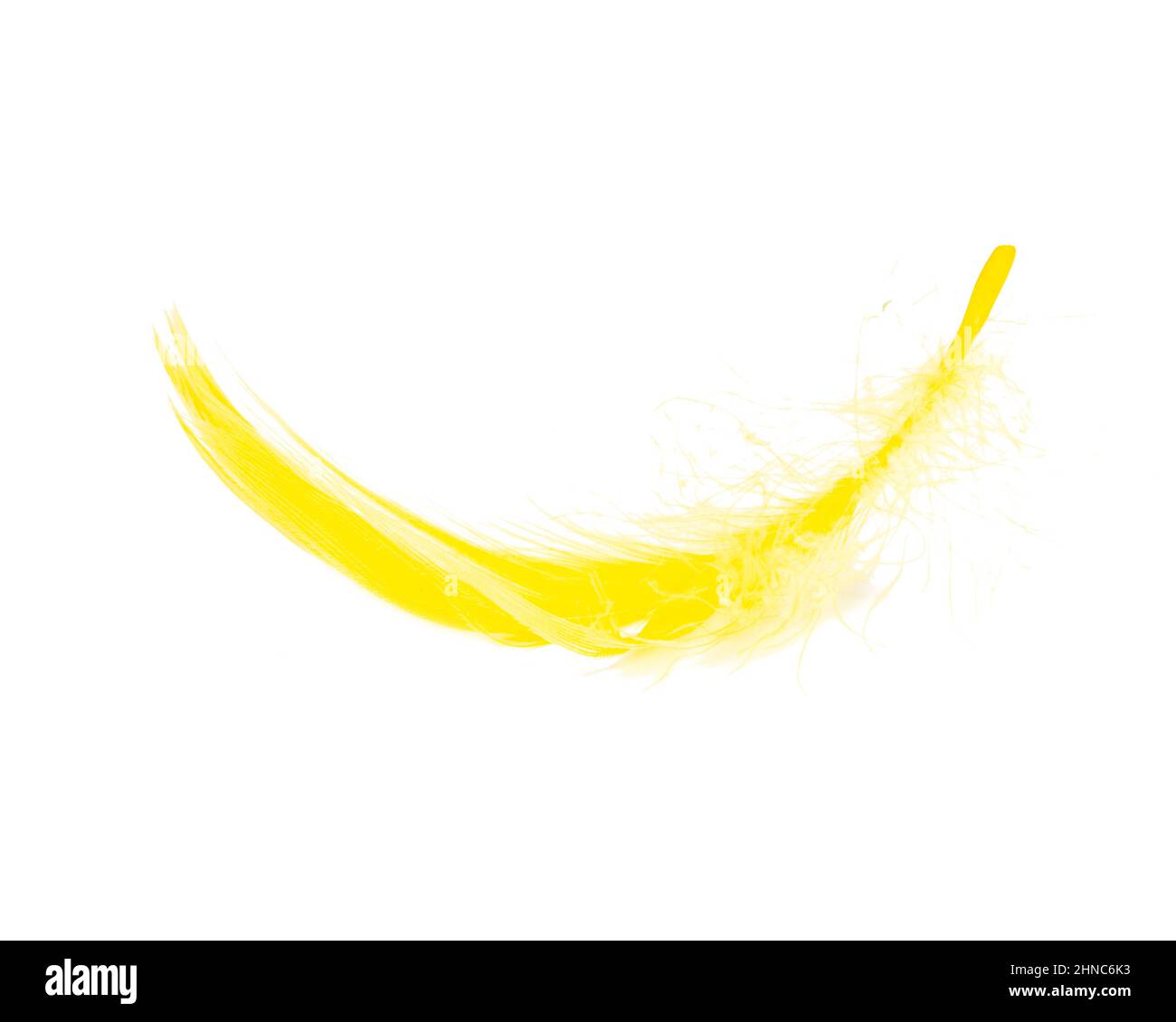 Yellow fluffy elegance feather isolated on the white background Stock ...