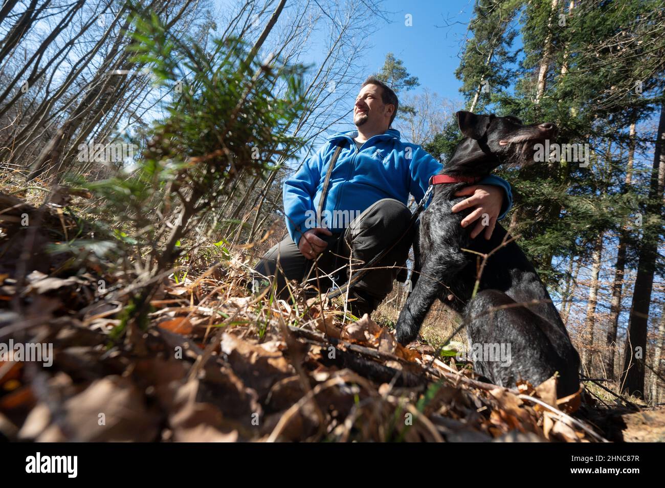 Pforzheim, Germany. 09th Feb, 2022. Rolf Müller, Nabu Baden-Württemberg's expert representative for hunting and wildlife, crouches with his dog next to a bitten silver fir in a patch of forest near Pforzheim. From Müller's point of view, two motives are important for poaching. The thrill makes it attractive for some, he says. In addition, there are the economic interests in the sale of game meat. Poaching is not an unknown phenomenon in the southwest either. (to dpa 'Hunting instinct from the Stone Age: Over 100 cases of poaching') Credit: Marijan Murat/dpa/Alamy Live News Stock Photo