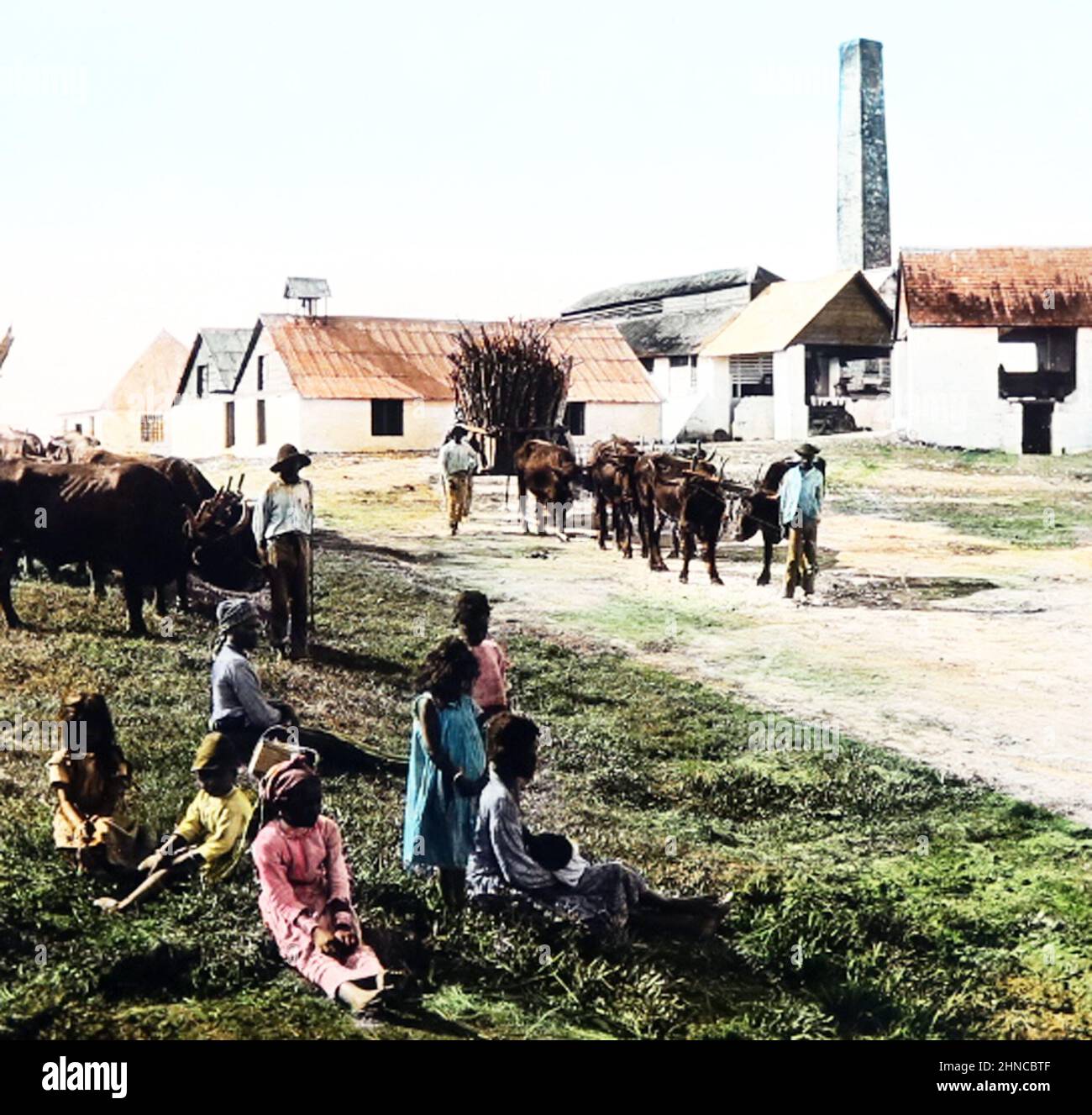 Sugar Mill, Jamaica, Victorian period Stock Photo