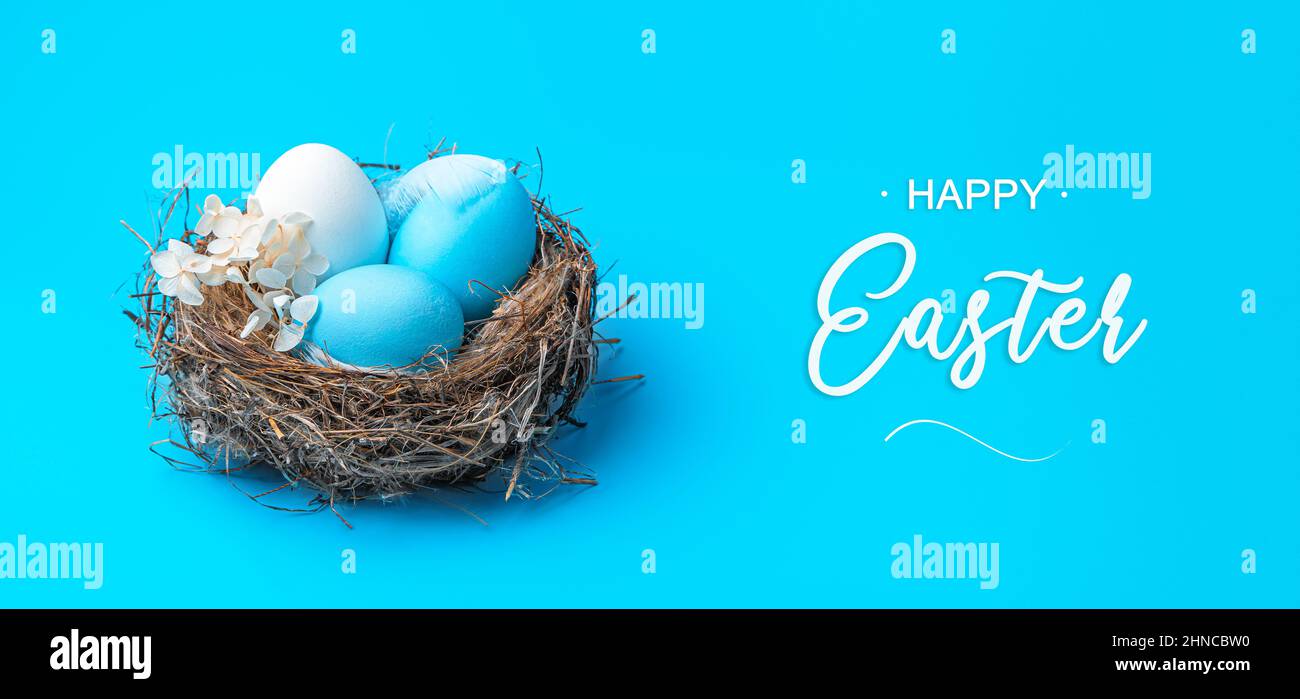 Happy Easter, a nest with Easter eggs on a blue background. Side view. Easter, spring background. Stock Photo