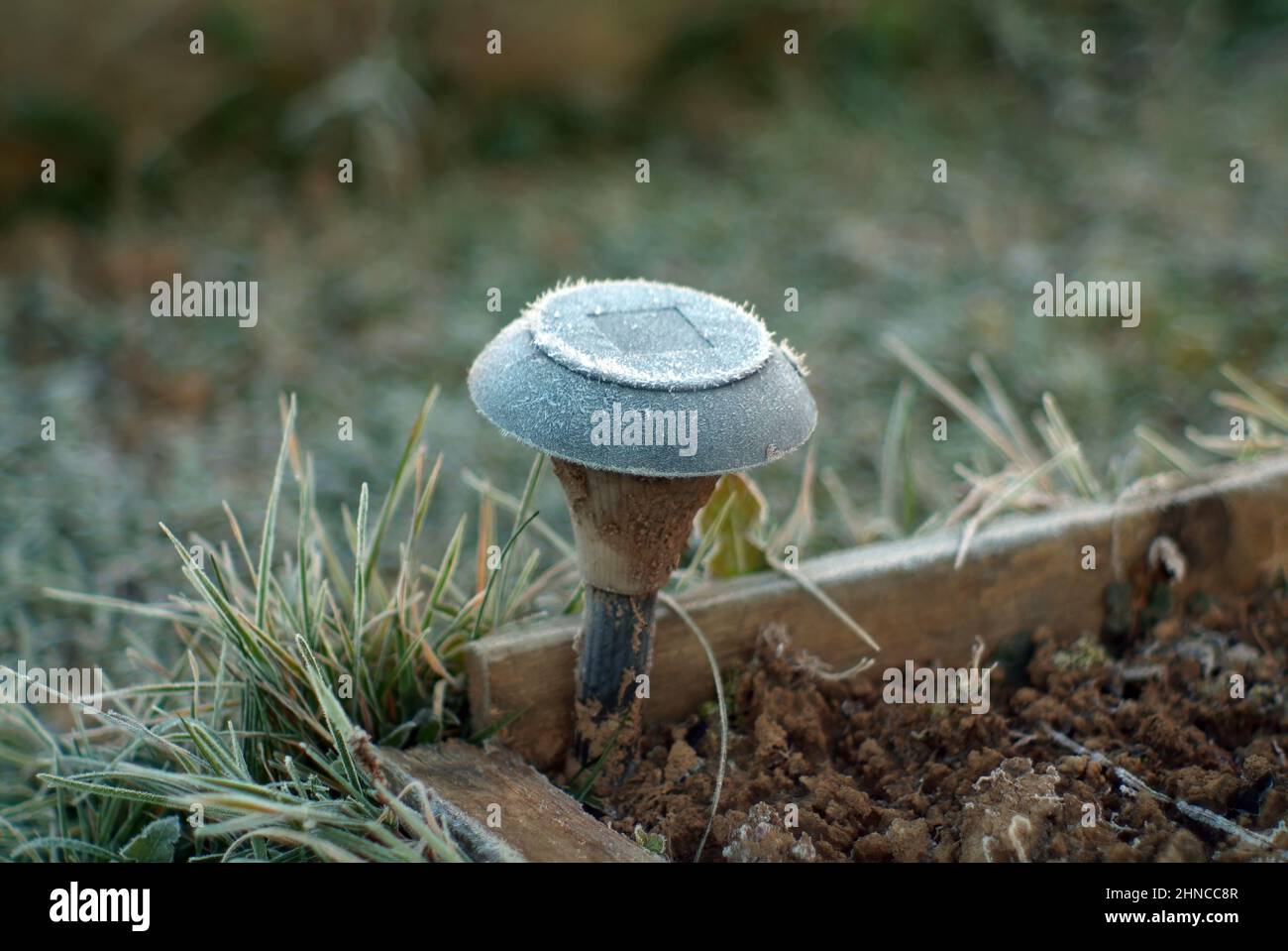 small garden lantern covered with frost, autumn Stock Photo