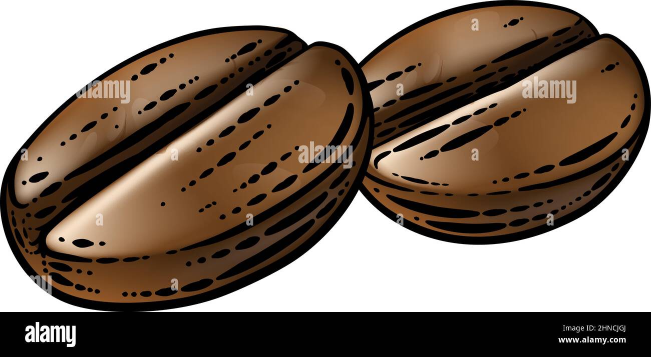 Coffee Beans Illustration Vintage Woodcut Style Stock Vector Image ...