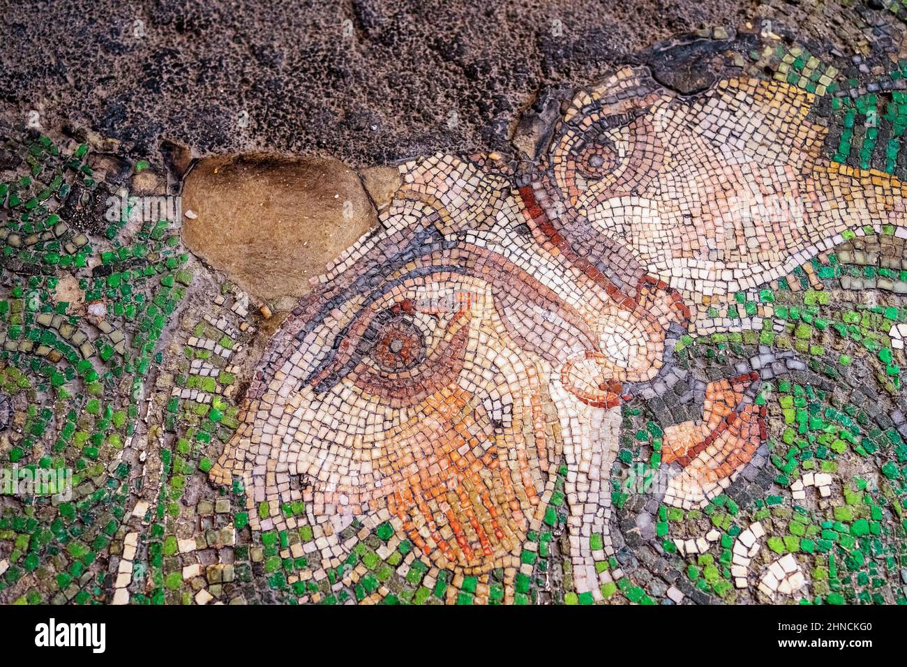 Mosaic work of a man face with acanthus leaves from the Byzantine period (East Roman period) at the Great Palace of Constantinople. 4th-6th century. Stock Photo