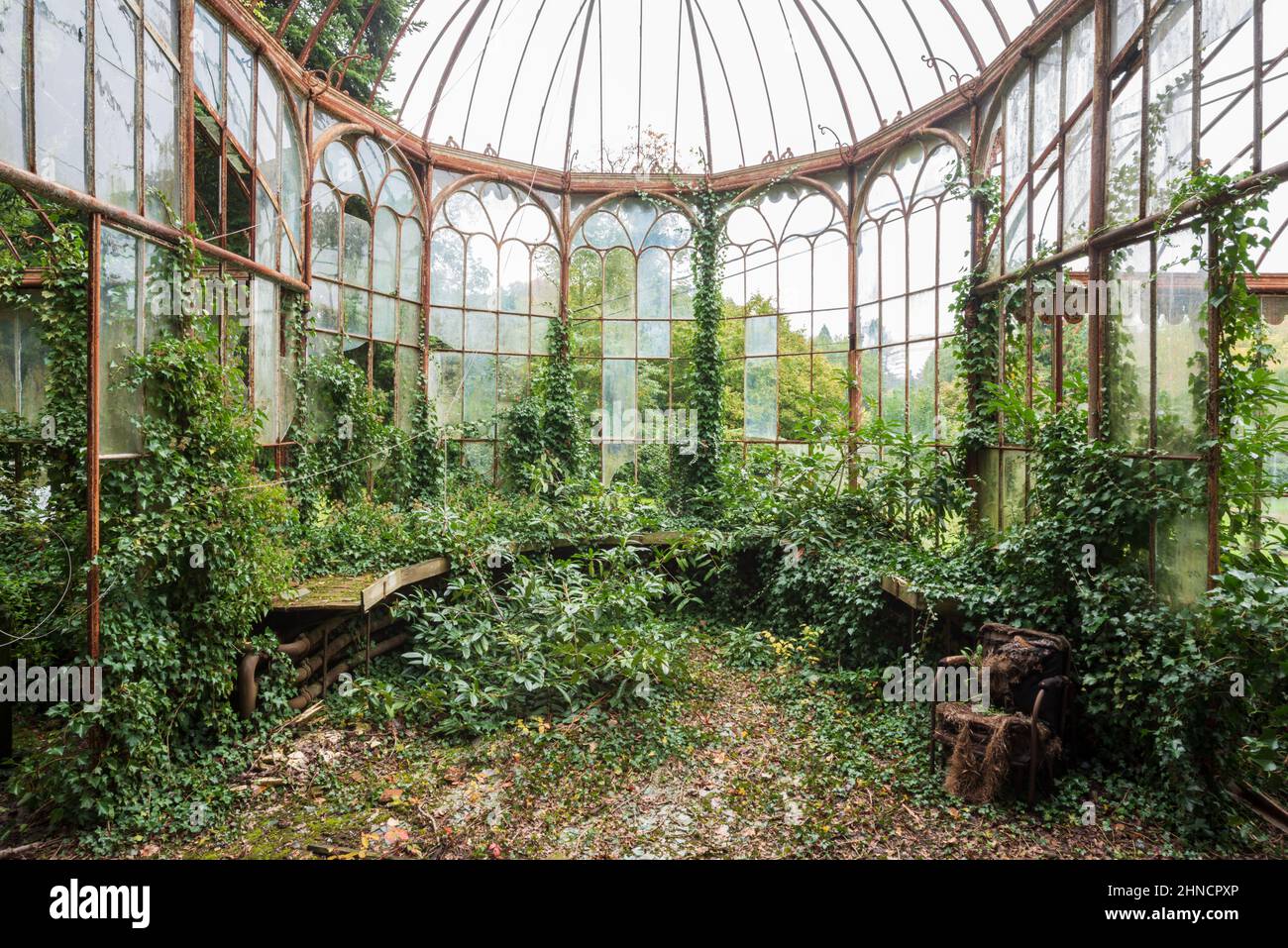 Abandoned greenhouse hi-res stock photography and images - Alamy