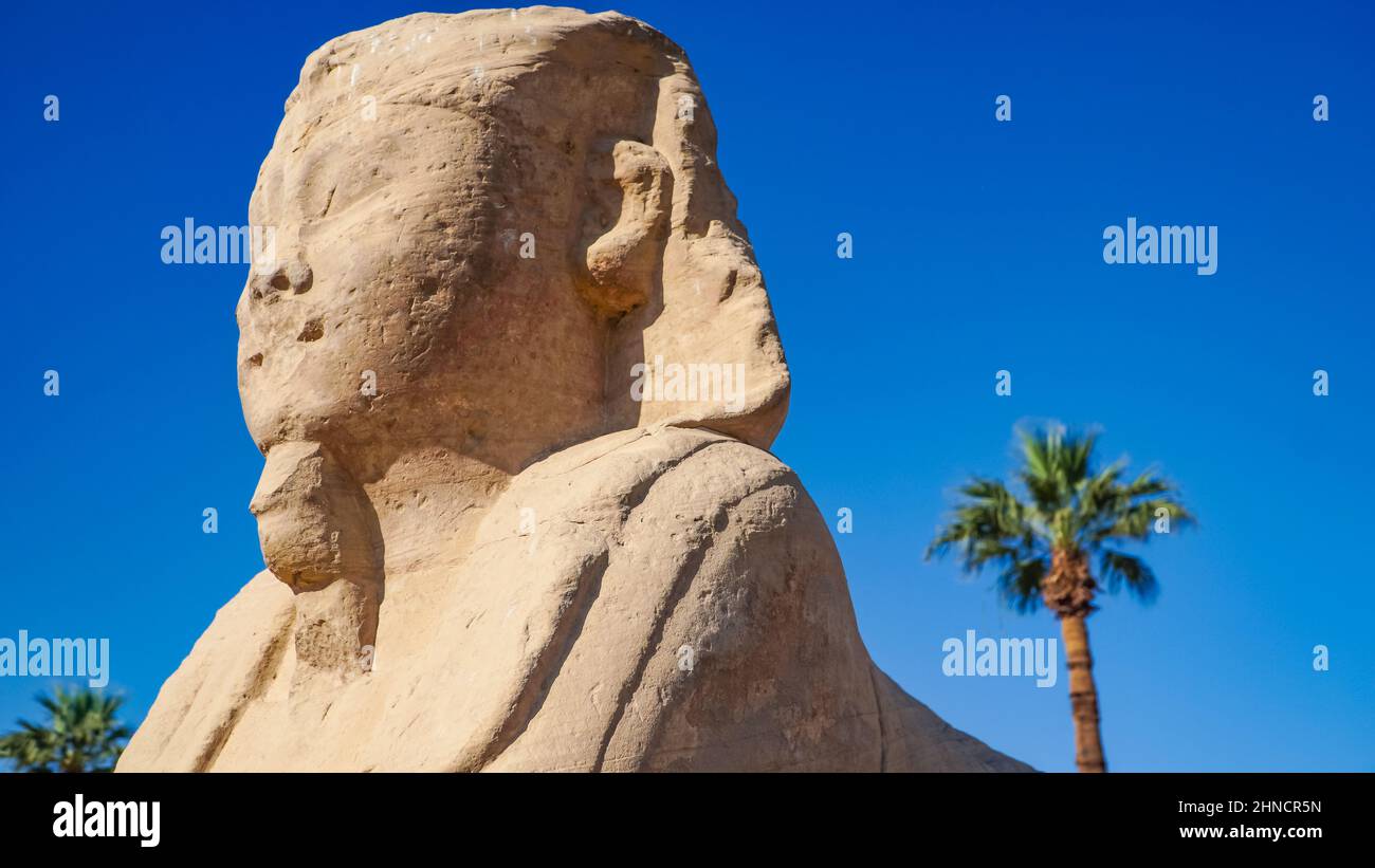 Luxor Temple in Luxor, ancient Thebes, Egypt. Luxor Temple is a large