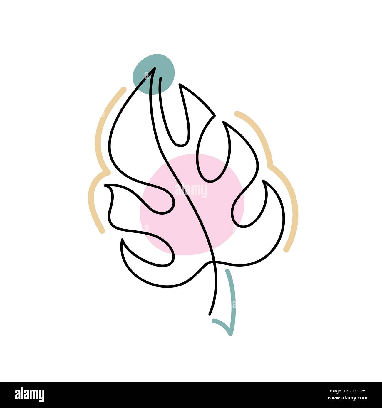 Abstract leaf in a modern minimalist line style Stock Vector Image