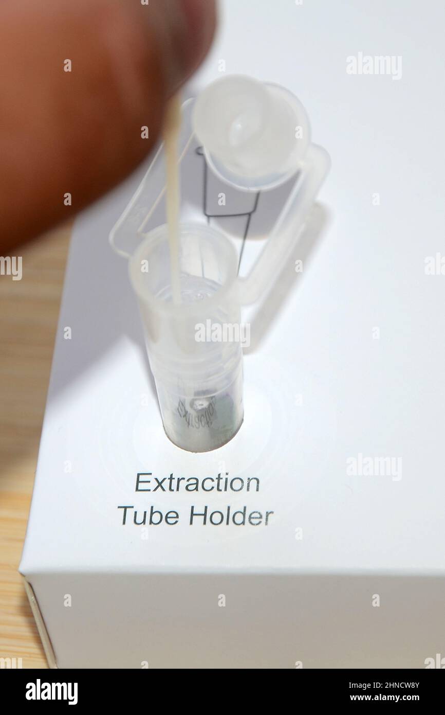 rapid lateral flow device test kit, LFT Stock Photo Alamy