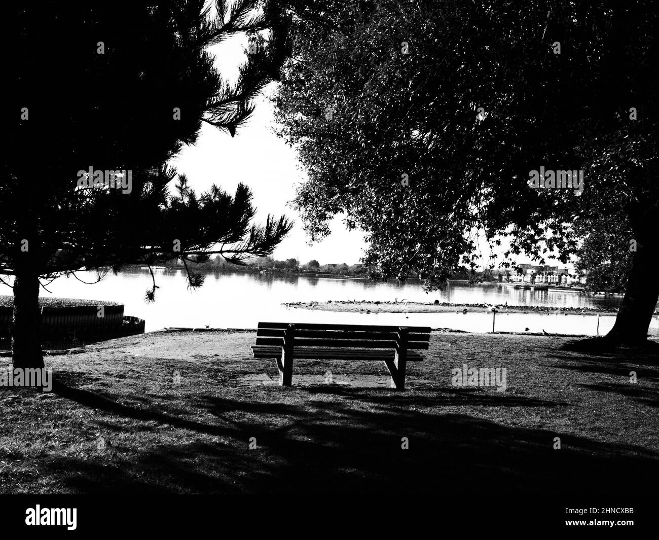 monochrome picture of a park bench by a lake Stock Photo