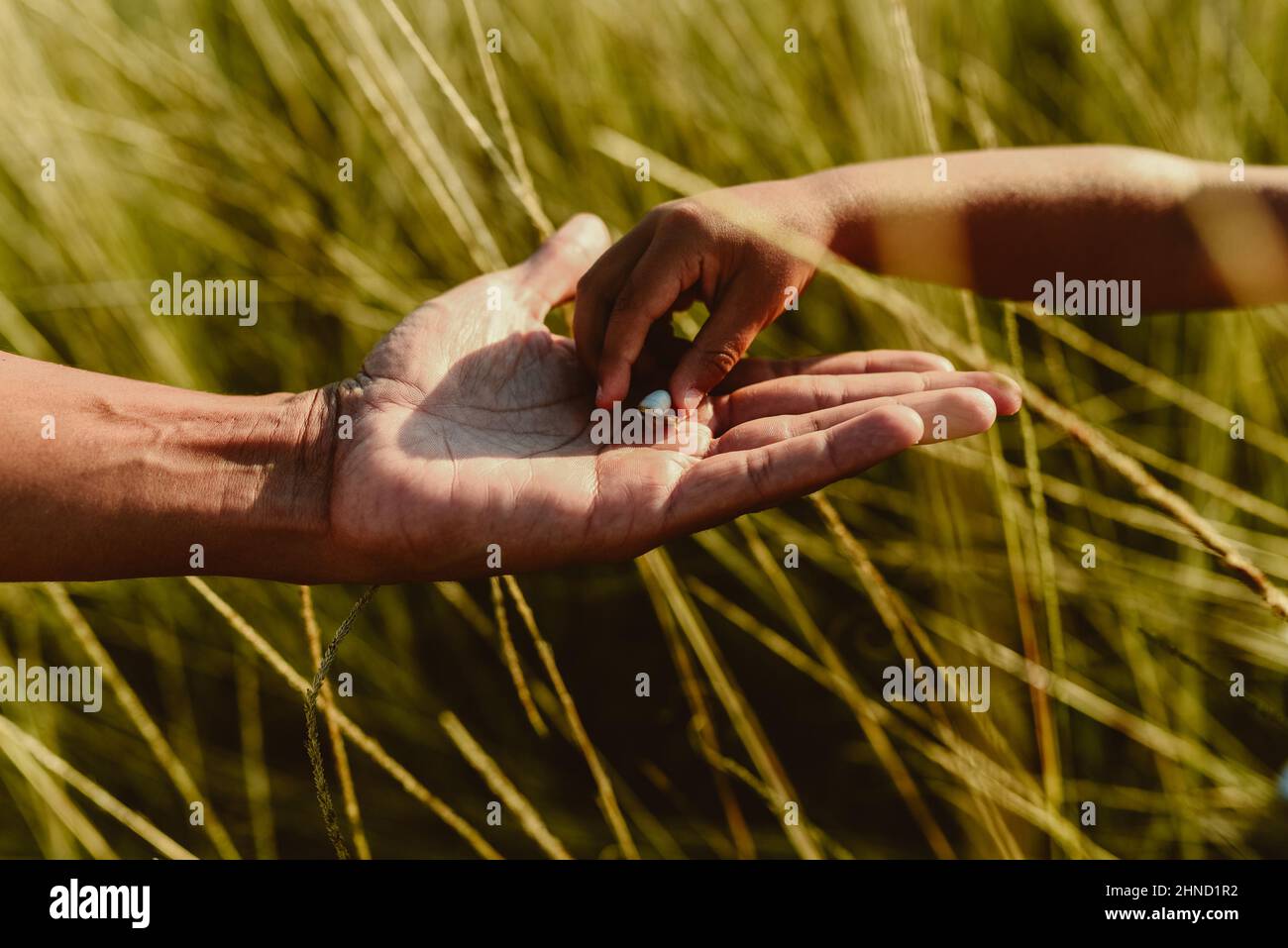 Unrecognizable kid putting white pebble on palm of crop parent against ...