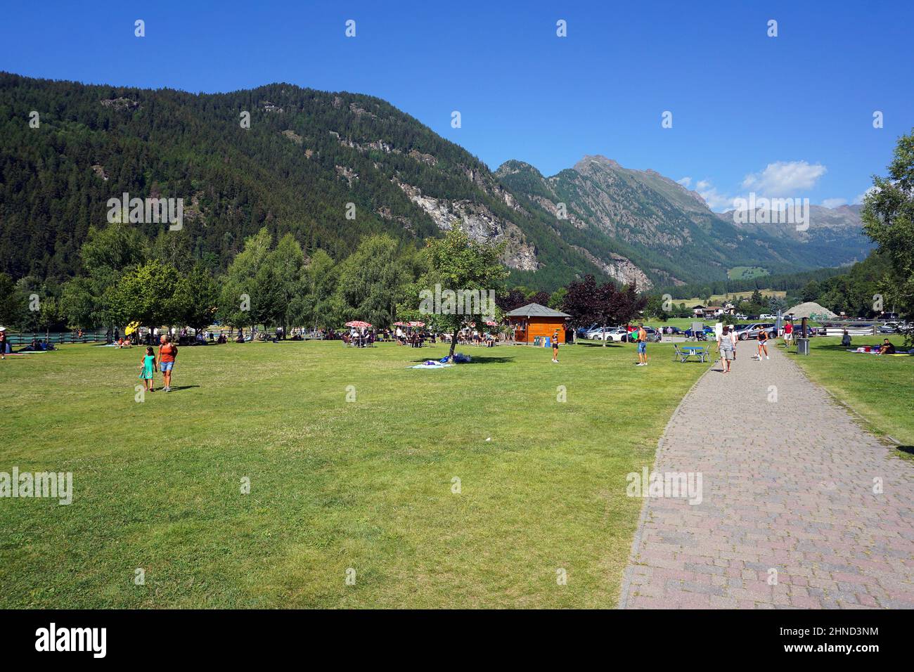 Italy, Valle d'Aosta, Brusson, meadow near the lake Stock Photo