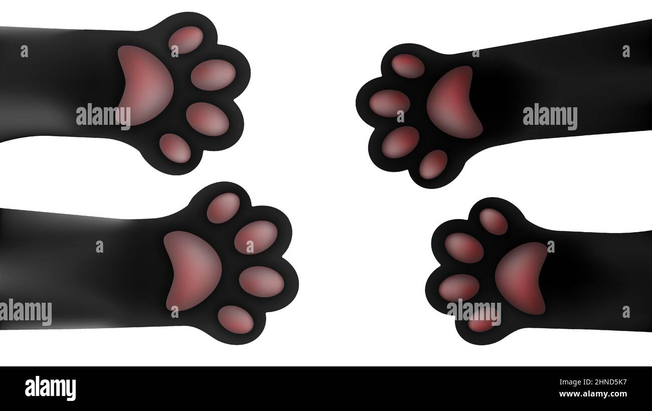 Cat paws reach out to meet each other. Domestic cats. Vector