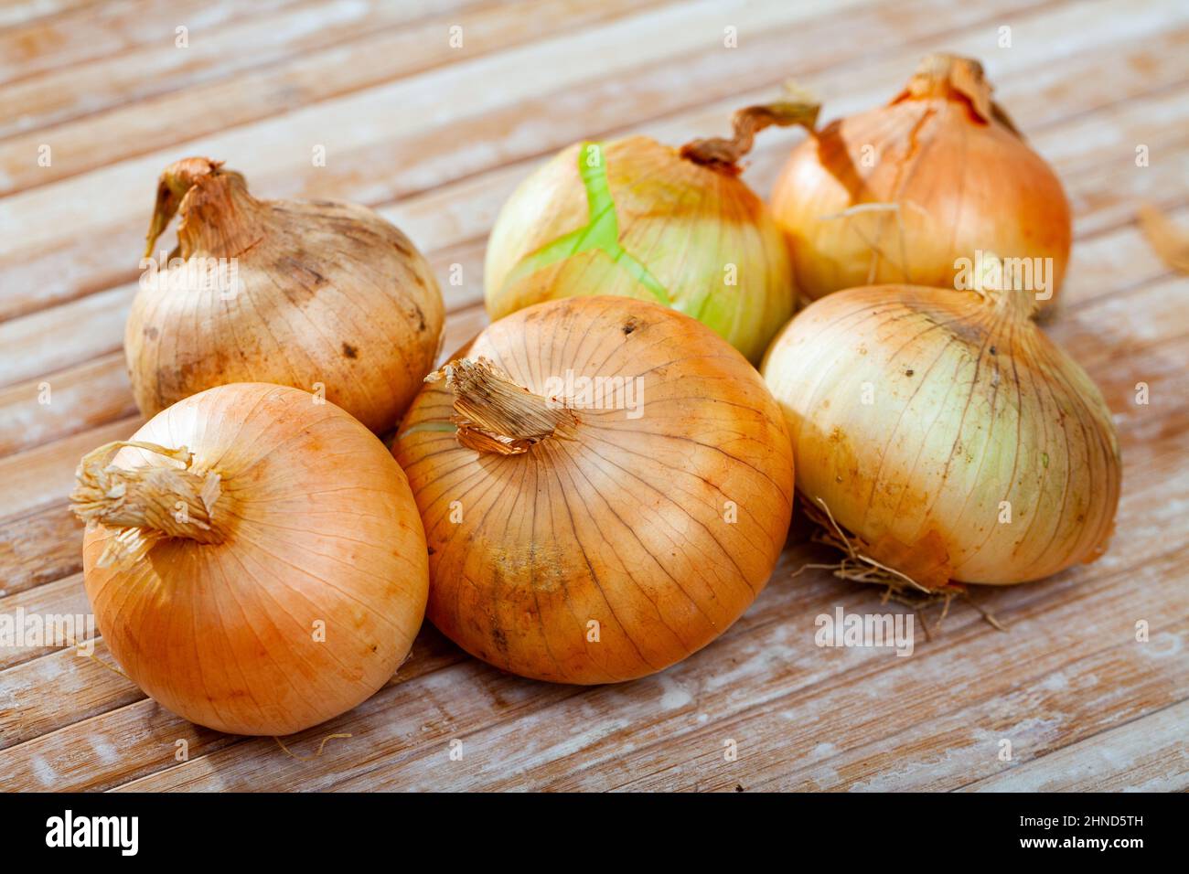 Whole unpeeled gold onion hi-res stock photography and images - Alamy