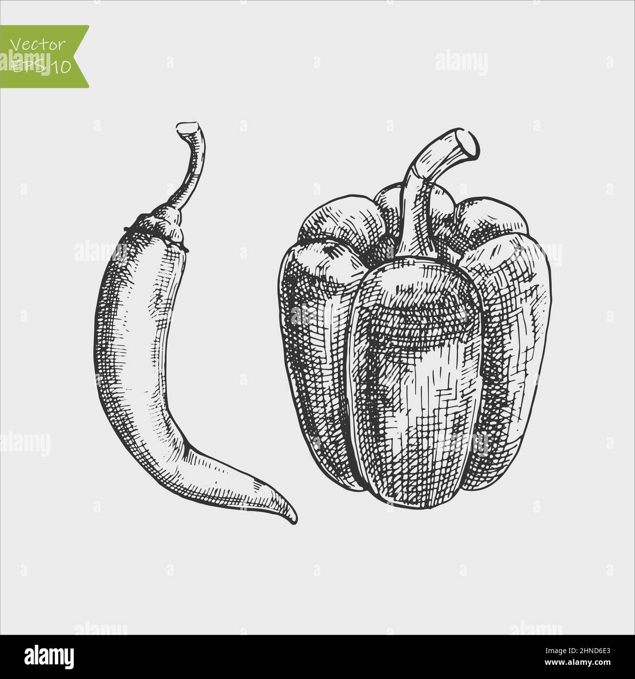 Varieties of pepper. Green pepper. Red Chilli. Hot. Bell. Pepper whole