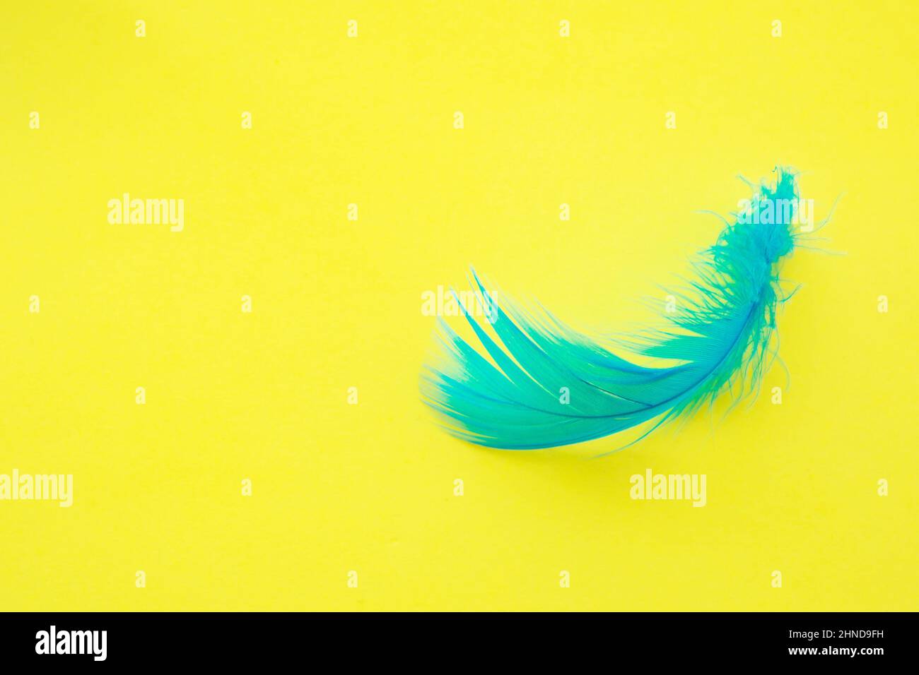 One color background hi-res stock photography and images - Alamy