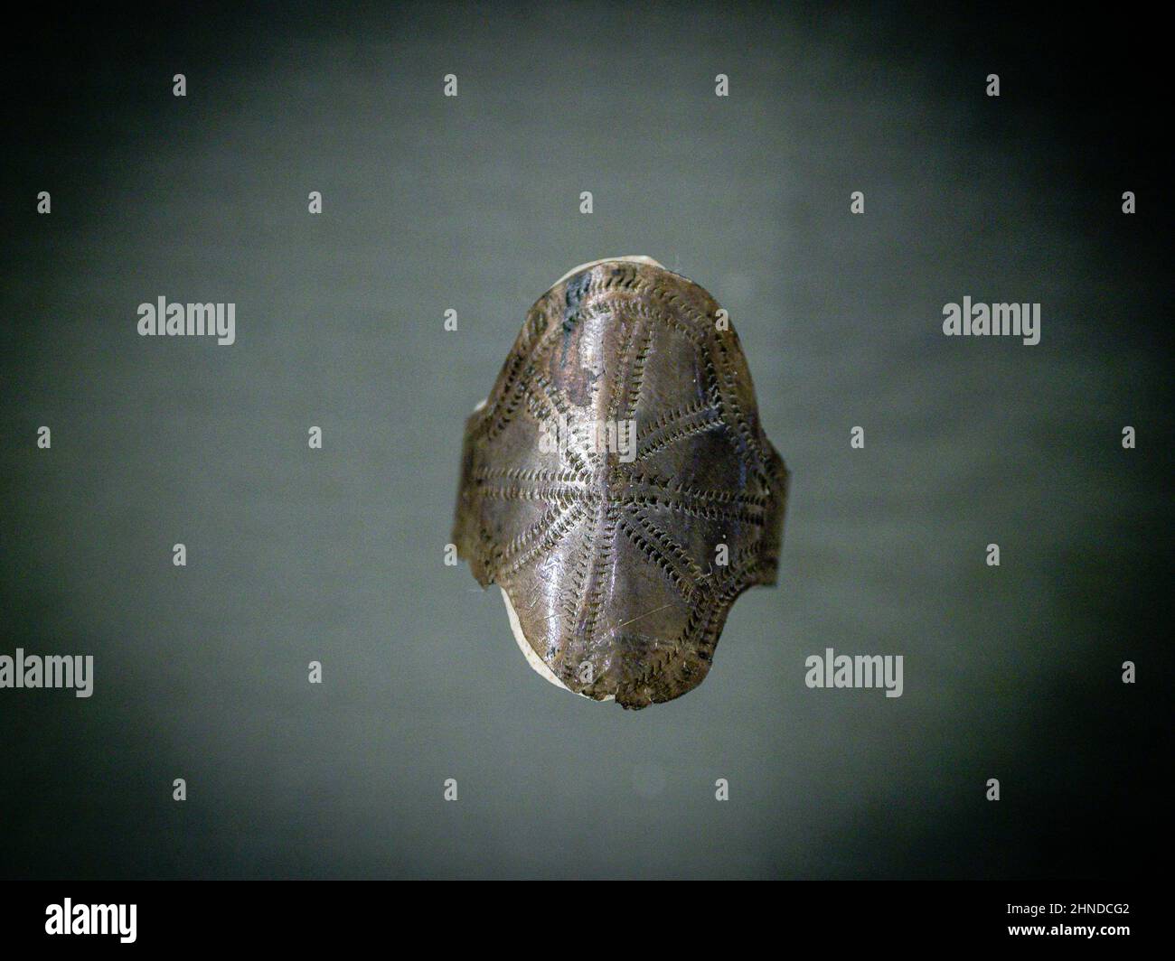 Siglo de bronce hi-res stock photography and images - Alamy
