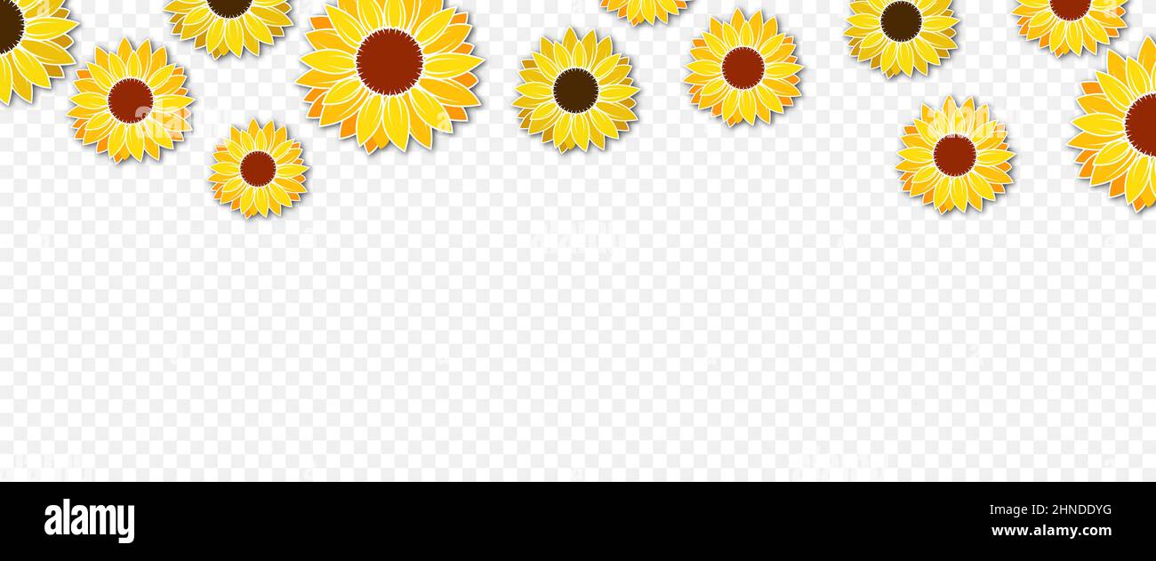 Hello spring! Flowers vector design for Mather's day.  Stock Vector