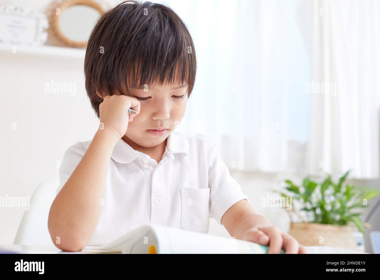 Japanese Elementary School Boy Doing His Homework Stock Photo Alamy
