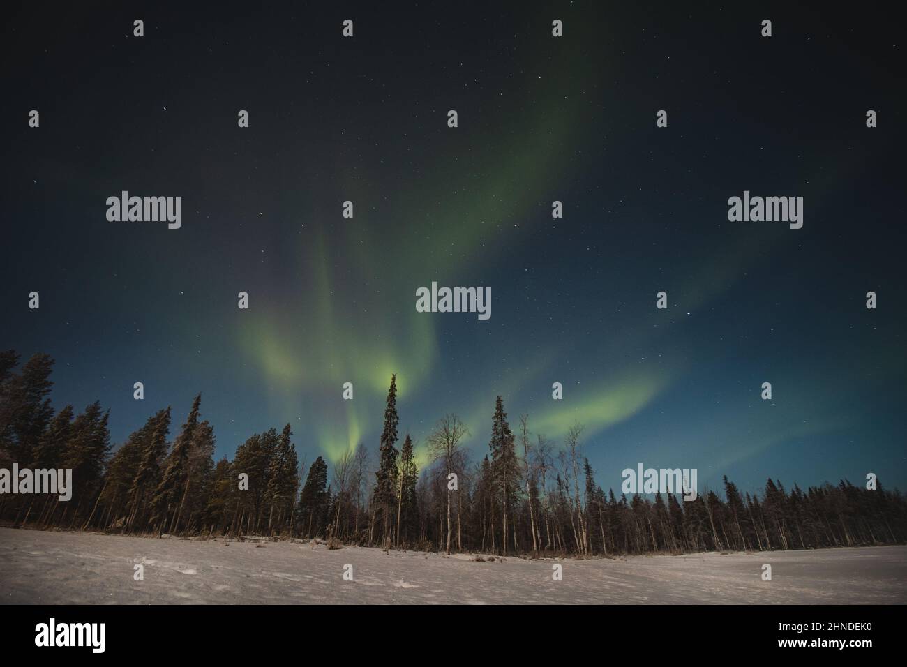 Breathtaking green dancing aurora borealis in the dark sky in Levi, lapland, Northern Finland