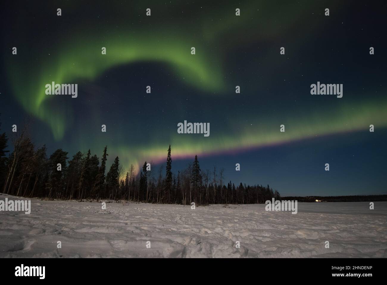 Breathtaking green dancing aurora borealis in the dark sky in Levi, lapland, Northern Finland