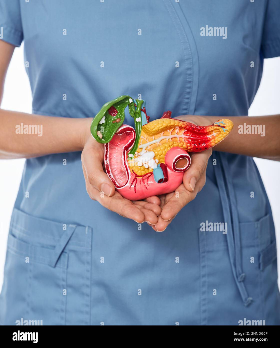 Diagnosis and treatment of pancreatic disease. doctor showing anatomical model of pancreas demonstrating pancreas health concept, close-up Stock Photo