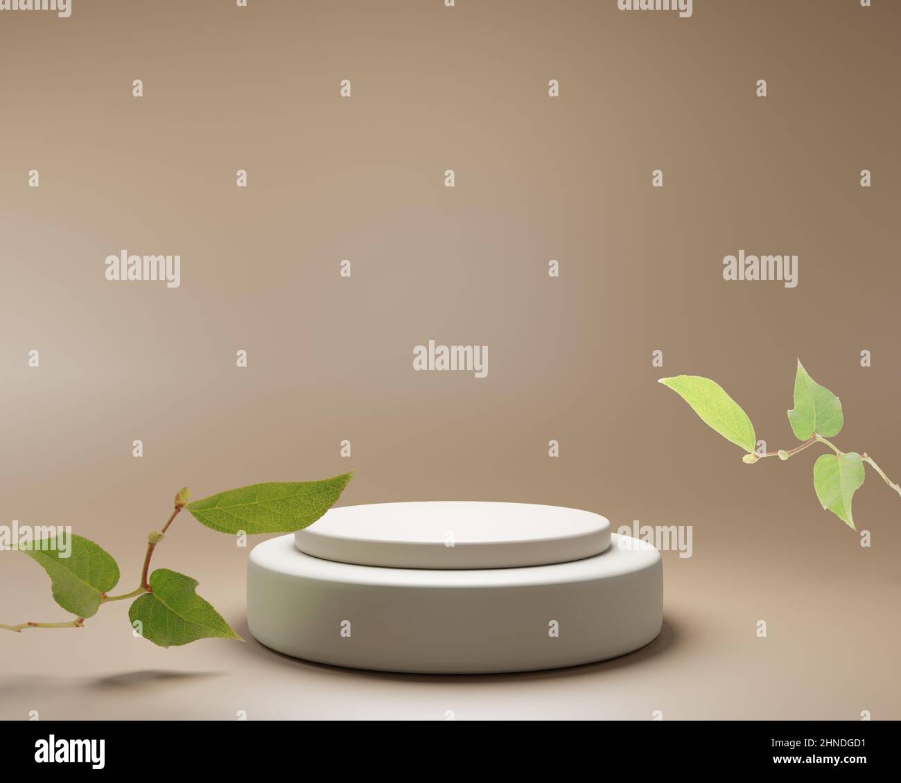 product display podium with nature leaves background. 3D rendering ...