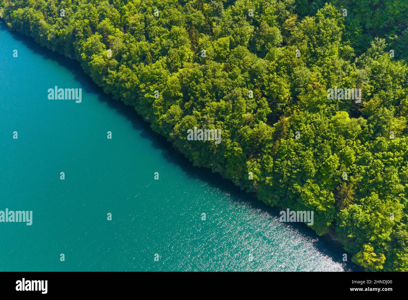 Natural background. Forest and lake. Aerial view Stock Photo - Alamy