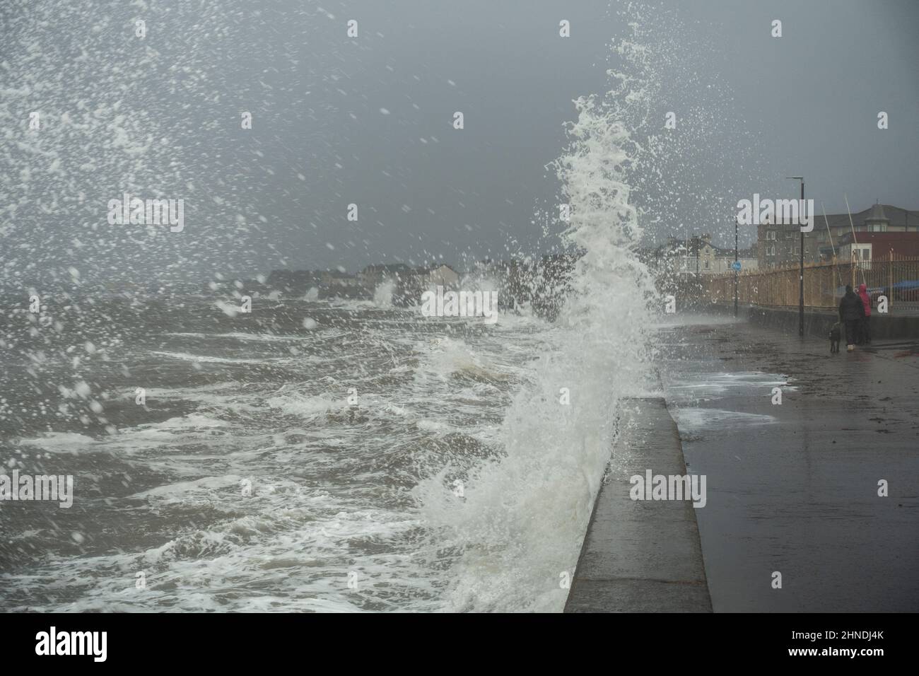 Prestwick, Scotland, UK; 16th February 2022. A High Tide ahead of Storm Dudley brings waves crashing up onto the Promenade at Prestwick Seafront, South Ayrshire.   Two women are walking their dogs along the promenade. Liz Leyden/Alamy Live News Stock Photo