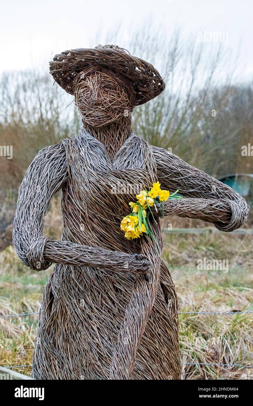 A close up of a Willow Woman, holding a bunch of early daffodils Stock Photo
