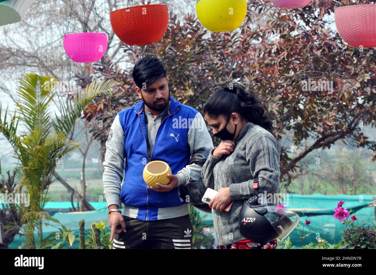 Nursries hires stock photography and images Alamy