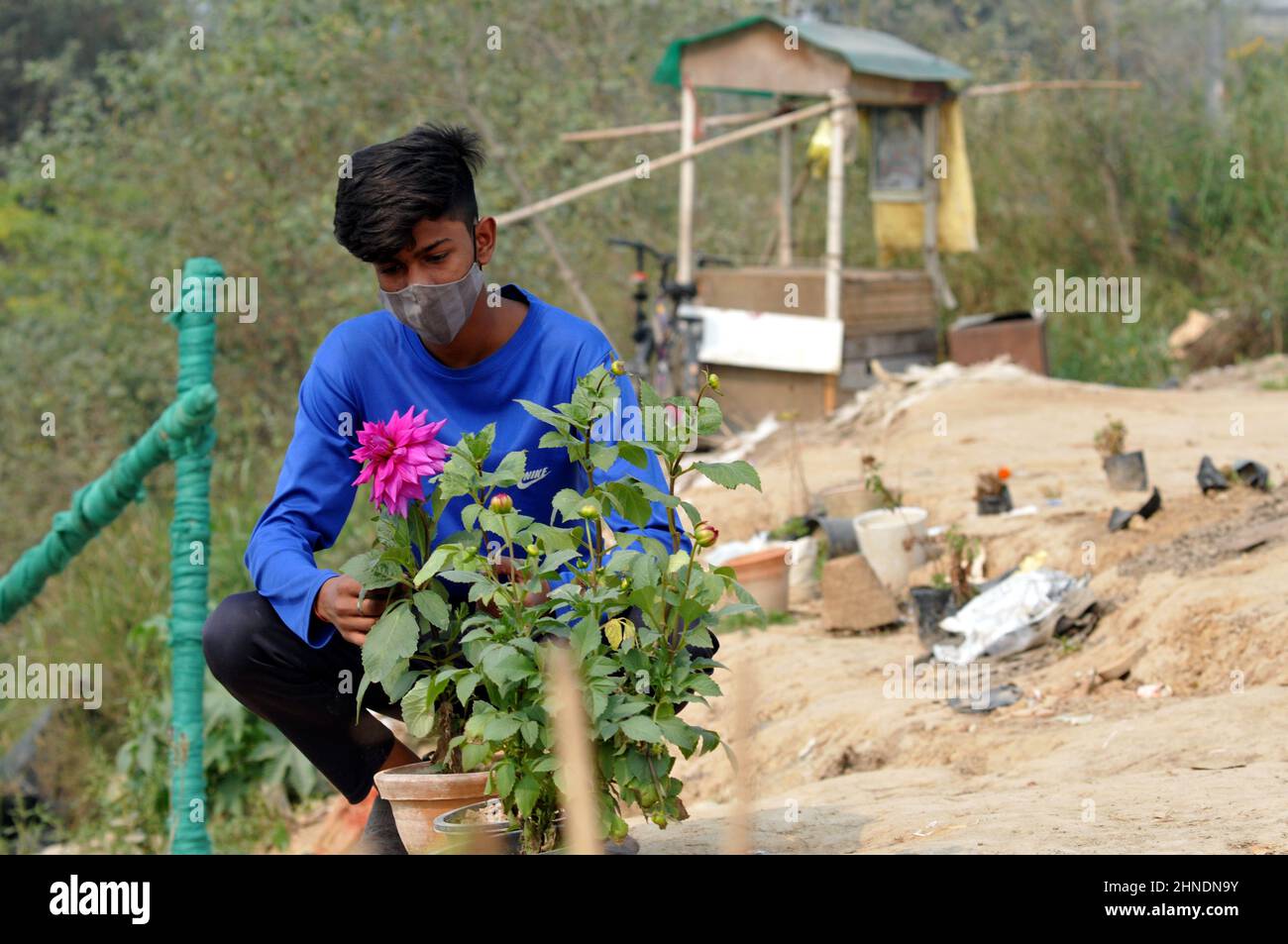 Nursries hires stock photography and images Alamy